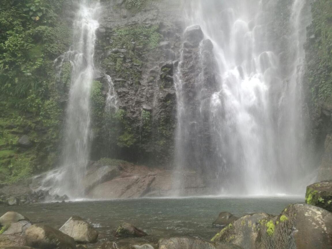 Hostel Orozco - Costa Rica Rio Cuarto Luaran gambar